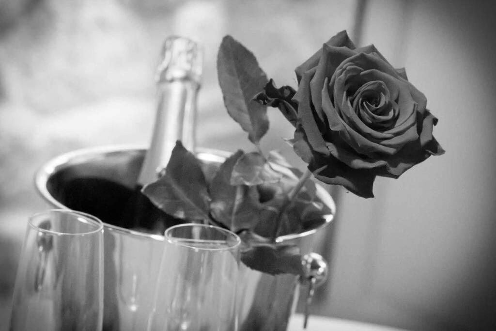 Gite Love Dream - Le Gite Romantique Ger  Buitenkant foto